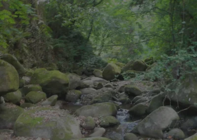 Comunità Montana Alento Monte Stella Vallone Molini