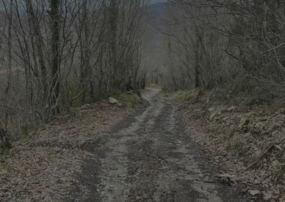 Fornace Magliano Vetere